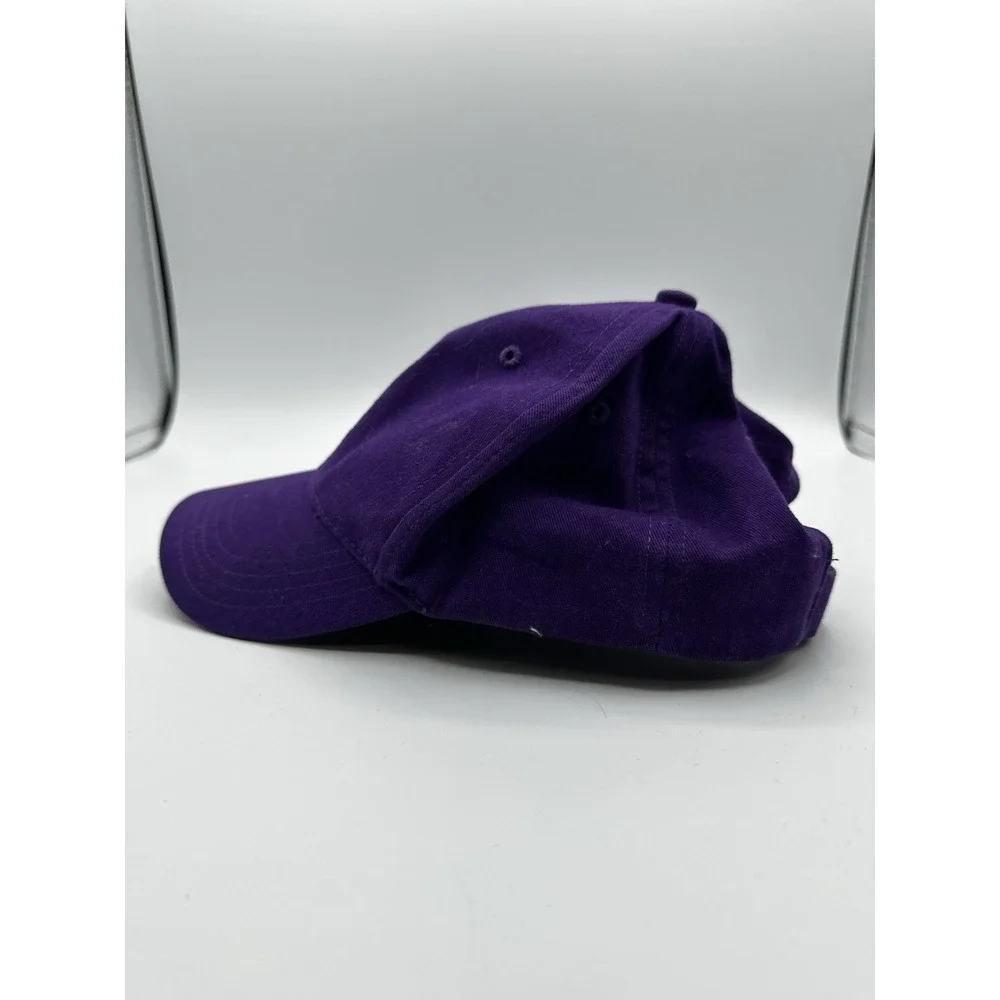 Northwestern University Wildcats 47 Brand Twins Franchise‎ Hat Cap OSFA NCAA